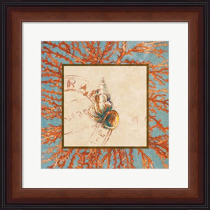 Framed Coral Medley Shell III Print