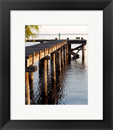 Framed Waterside Beauty II Print