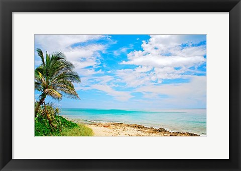 Framed Paradise Print