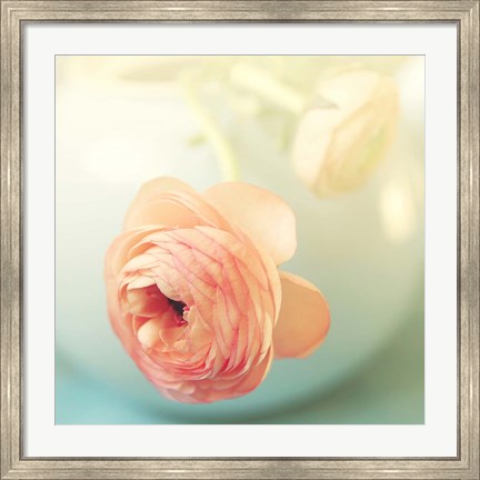 Framed Vintage Peony II Print