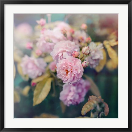 Framed Season of Blossoms Print