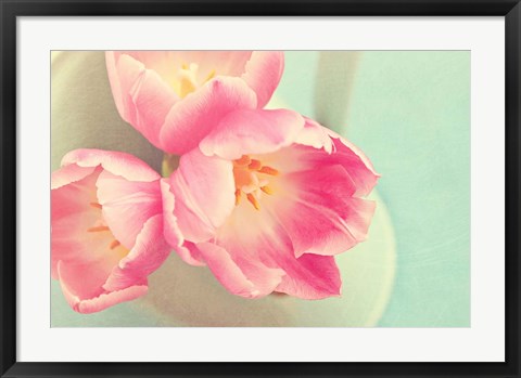 Framed Resplendent Blossoms II Print