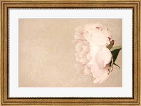 Framed Alluring Flower Print