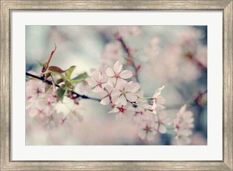 Framed Branch of Beauty Print