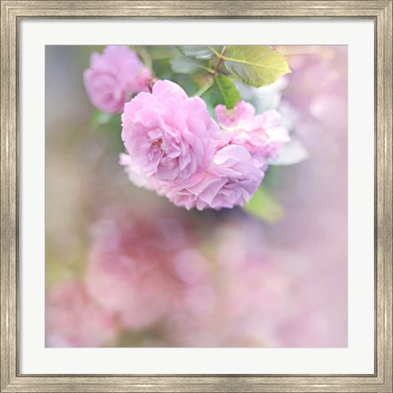 Framed Graceful Floral Print