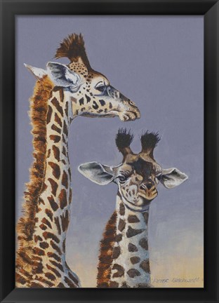 Framed Two Young Giraffes Print