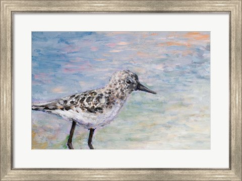 Framed Sandpiper IB Print