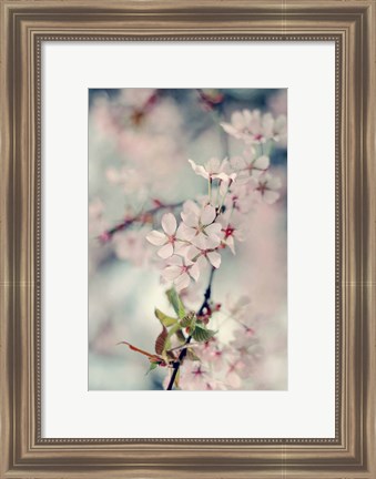 Framed Branch of Beauty Vertical Print