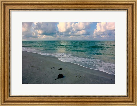 Framed Emerald Sea Print