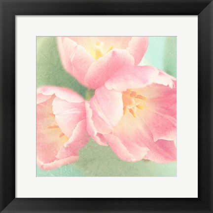 Framed Resplendent Blossoms I Print