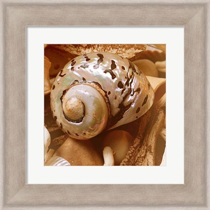 Framed By the Seashore Square II Print