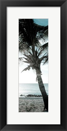 Framed Cool Bimini Palm I Print