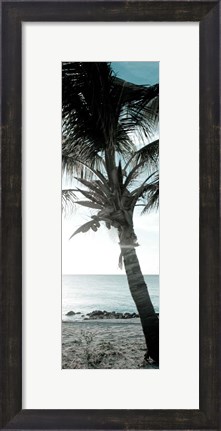 Framed Cool Bimini Palm I Print