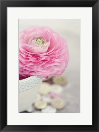 Framed Softy Elegant II Print