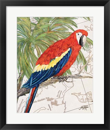 Framed Another Bird in Paradise I Print