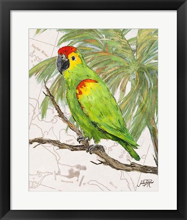 Framed Another Bird in Paradise II Print