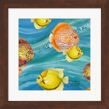 Framed Aquatic Sea Life I Print