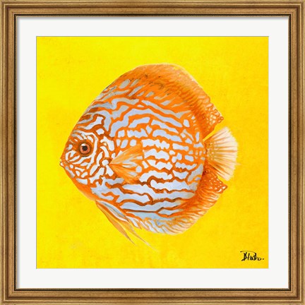 Framed Bright Aquatic Life IV Print