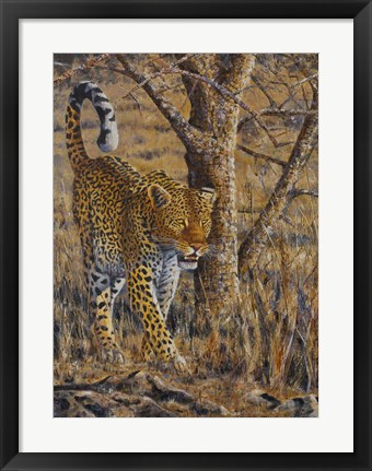 Framed Leopard Walking Print