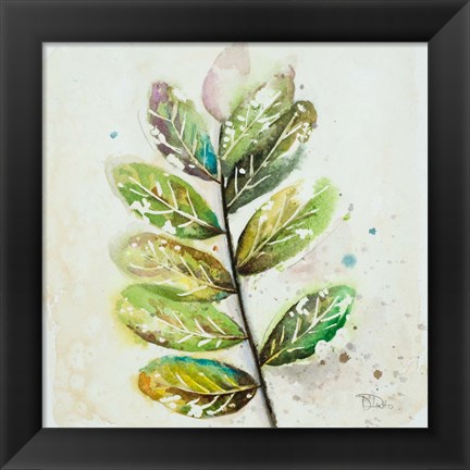 Framed Global Leaves III Print