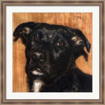 Framed Puppy Dog Eyes I Print