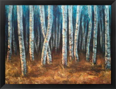 Framed Moonlit Birchwood Print