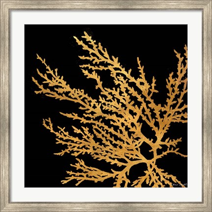 Framed Coastal Coral on Black I Print