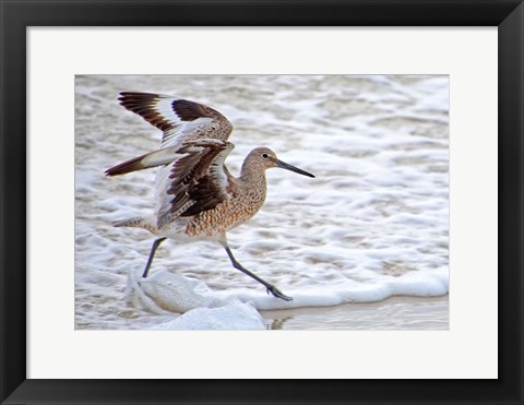 Framed Frolicking In Waves Print