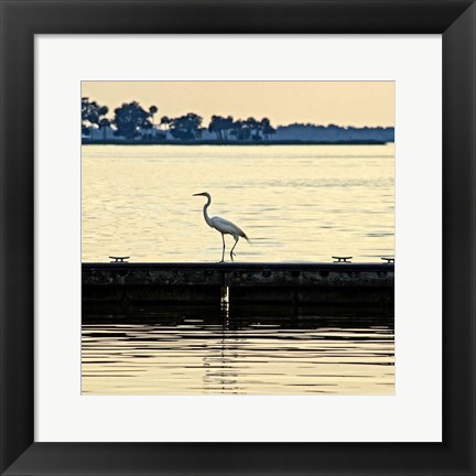 Framed Along The Pier Print