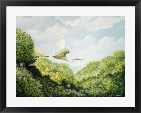 Framed Egret Print