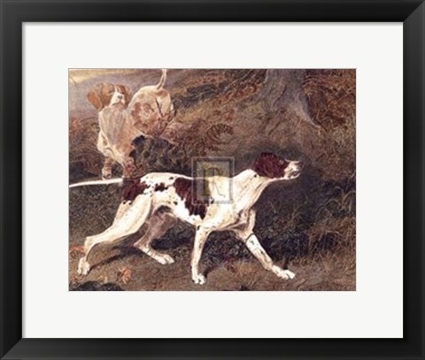 Framed Pointer Print