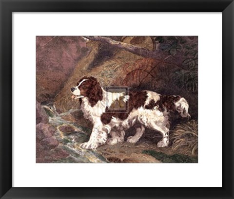 Framed Spaniel Print