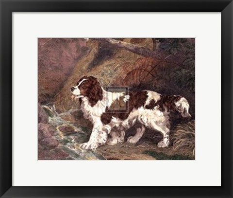 Framed Spaniel Print