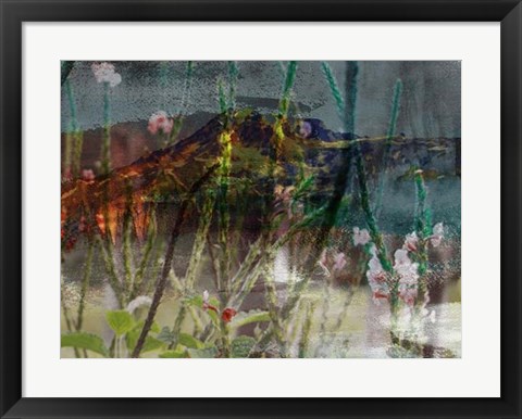 Framed Mountain Wildflowers I Print