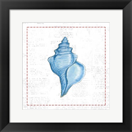 Framed Navy Conch Shell on Newsprint with Red Print