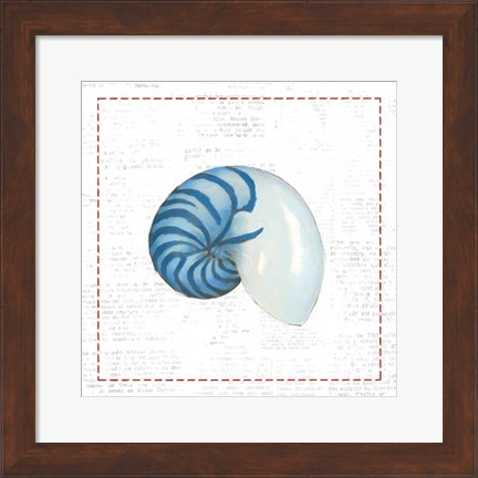 Framed Navy Nautilus Shell on Newsprint with Red Print