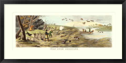 Framed Wild Duck Shooting Print