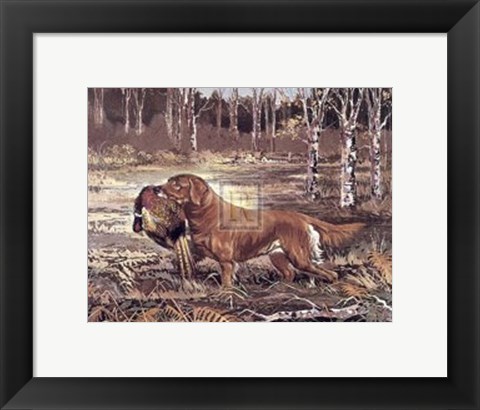 Framed Golden Retriever Print