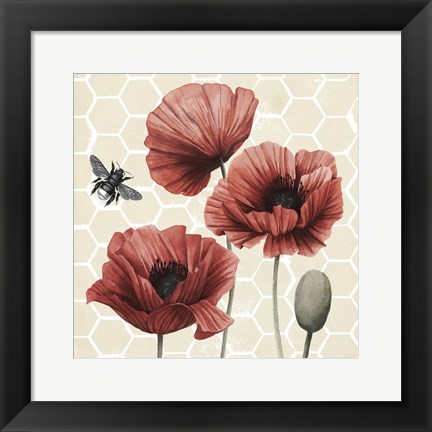 Framed Poppy Buzz I Print