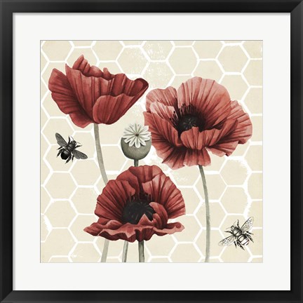 Framed Poppy Buzz II Print