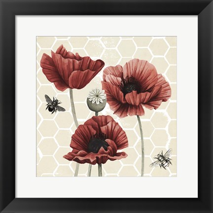 Framed Poppy Buzz II Print