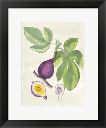 Framed Watercolor Fruit I Print