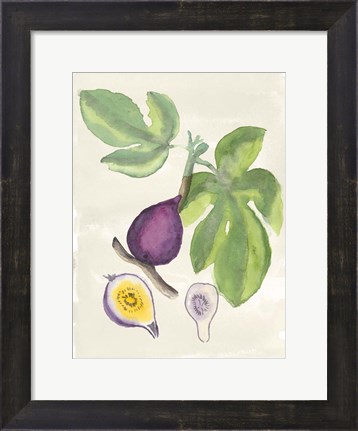 Framed Watercolor Fruit I Print