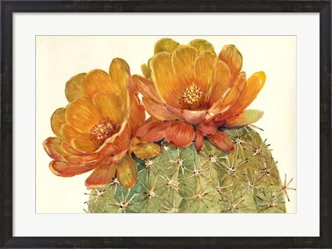 Framed Cactus Blossoms II Print