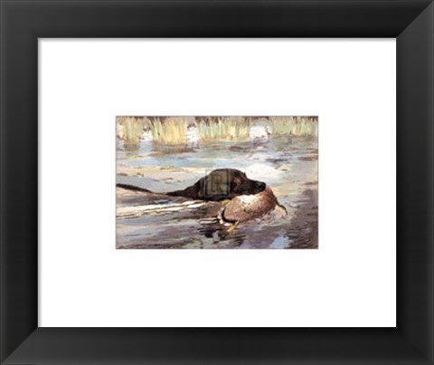 Framed Bramshaw Bob Swimming (Sml) Print