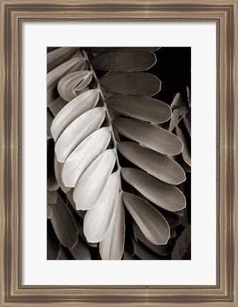 Framed Tropical Plant I Print