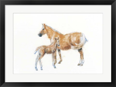 Framed Horse and Colt Print