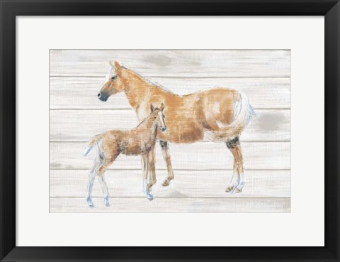 Framed Horse and Colt on Wood Print