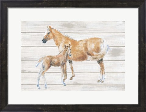 Framed Horse and Colt on Wood Print