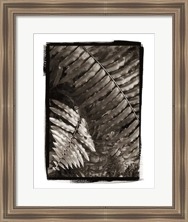 Framed Fern I Print